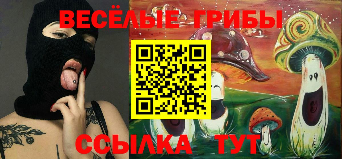 купить наркоту  Галлюциногенные грибы мухоморы  Вход с VPN  Пугачёв  Галлюциногенные грибы Cubensis 